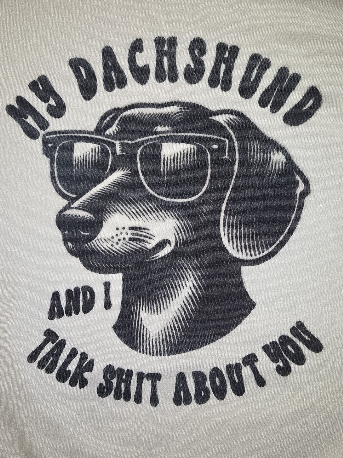 My Dachshund & I Talk Shit About You